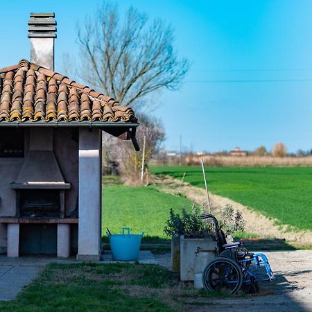 Agriturismo Garzole Castelfranco Emilia Exteriér fotografie
